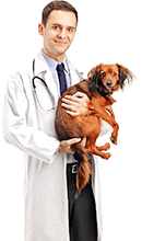 Доп. изображение (на главной)